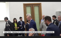 caso todde tribunale in camera di consiglio per decidere su decadenza e sanzione