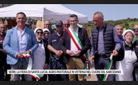 serri la fiera di santa lucia agro pastorale in vetrina nel cuore del sarcidano