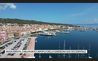 biodiversit carloforte capofila della sardegna sud occidentale