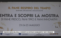 pane ricchezza dell isola comparto in continuo cambiamento tanti i problemi