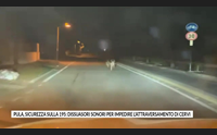pula sicurezza sulla 195 dissuasori sonori per impedire l attraversamento di cervi