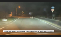 pula sicurezza sulla 195 dissuasori sonori per impedire l attraversamento di cervi