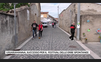 ussaramanna successo per il festival delle erbe spontanee