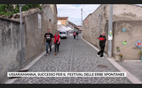ussaramanna successo per il festival delle erbe spontanee
