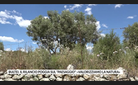 bultei il rilancio poggia sul paesaggio valorizziamo la natura