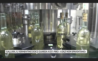 gallura il vermentino docg guarda a est piro i dazi non spaventano