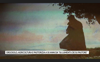 orgosolo agricoltura e pastorizia a 50 anni da su lamentu de su pastore