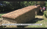 samugheo apre gli antichi mulini patrimonio di ambiente e cultura