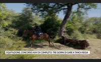 equitazione concorso asvi di completo tre giorni di gare a tanca regia
