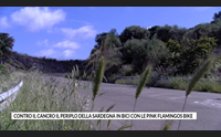 contro il cancro il periplo della sardegna in bici con le pink flamingos bike