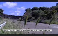 contro il cancro il periplo della sardegna in bici con le pink flamingos bike