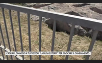 cagliari omaggio a tuvixeddu la musa euterpe per invocare il cambiamento