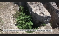 cagliari omaggio a tuvixeddu alla cittadella dei musei mobilitazione in musica