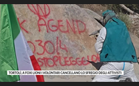 tortol a foxi lioni i volontari cancellano lo sfregio degli attivisti