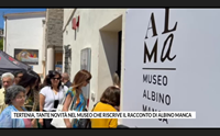tertenia tante novit nel museo che riscrive il racconto di albino manca