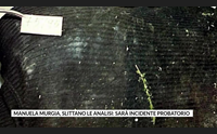 manuela murgia slittano le analisi sar incidente probatorio