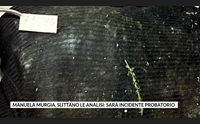 manuela murgia slittano le analisi sar incidente probatorio