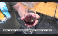 oliena il nepente promuove il territorio ora siamo citt del vino