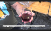 oliena il nepente promuove il territorio ora siamo citt del vino