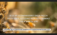 capoterra nella giornata per l ambiente tutti insieme per proteggere le api
