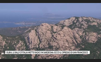 olbia il rally d italia mette radici in sardegna ecco il cipresso di san francesco
