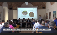 i consorzi del vino si insediano a oristano strategia di formazione e impresa