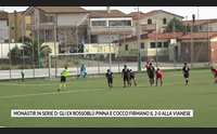 monastir in serie d gli ex rossobl pinna e cocco firmano il 2 0 alla vianese