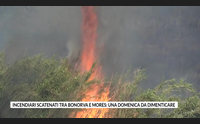 incendiari scatenati tra bonorva e mores una domenica da dimenticare