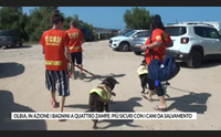 olbia in azione i bagnini a quattro zampe pi sicuri con i cani da salvamento