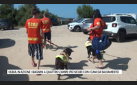olbia in azione i bagnini a quattro zampe pi sicuri con i cani da salvamento