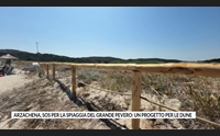 arzachena sos per la spiaggia del grande pevero un progetto per le dune
