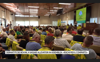 dermatite dei bovini a sassari allevatori in assemblea rischi per il comparto