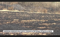 sardegna assediata dal fuoco 70 roghi in tre giorni attacco a furtei