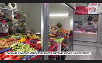 cagliari il nuovo mercato di piazza nazzari sfida il caldo estivo