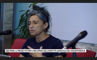 bee park il progetto per il recupero dell identit agricola del molentargius