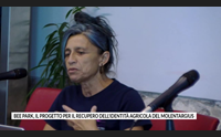 bee park il progetto per il recupero dell identit agricola del molentargius