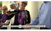 alle radici del vino sardo i nuragici fra i pionieri della viticoltura