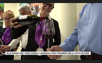 alle radici del vino sardo i nuragici fra i pionieri della viticoltura