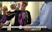 alle radici del vino sardo i nuragici fra i pionieri della viticoltura