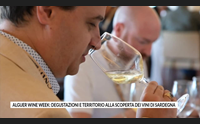 alguer wine week degustazioni e territorio alla scoperta dei vini di sardegna