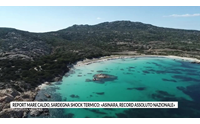 report mare caldo sardegna shock termico asinara record assoluto nazionale