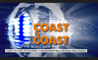 coast to coast pittulongu i cani bagnino nella spiaggia degli olbiesi