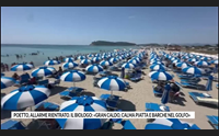 poetto allarme rientrato il biologo gran caldo calma piatta e barche nel golfo
