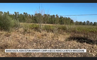 basso sulcis agricoltori disperati campi a secco manca la rete di irrigazione