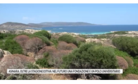 asinara oltre la stagione estiva nel futuro una fondazione e un polo universitario