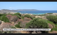asinara oltre la stagione estiva nel futuro una fondazione e un polo universitario