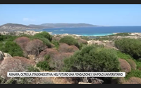 asinara oltre la stagione estiva nel futuro una fondazione e un polo universitario