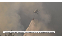 fiamme in sardegna domenica con 14 incendi intervengono tre canadair