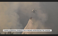 fiamme in sardegna domenica con 14 incendi intervengono tre canadair