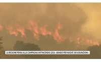 la regione pensa alla campagna antincendio 2026 bando per nuove 100 assunzioni